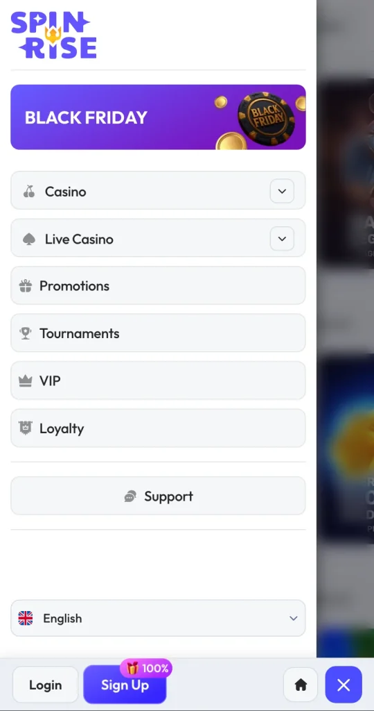 Spinrice bonuses casino
